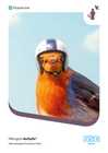 Pilkington_AviSafe™_Brochure